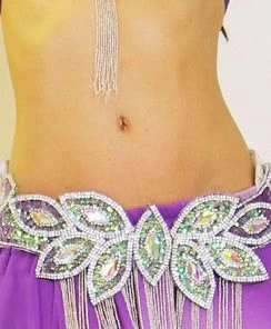 Bellydance Eve Collection Bra And Belt Bra&Belts