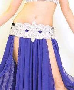 Bellydance Bra&Belts BDS Classic Bra And Belt Set