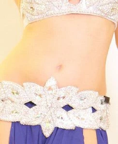 Bellydance Bra&Belts BDS Classic Bra And Belt Set