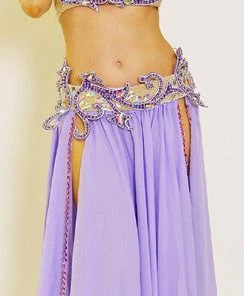 Bellydance Bra&Belts BDS Classic Bra And Belt Set