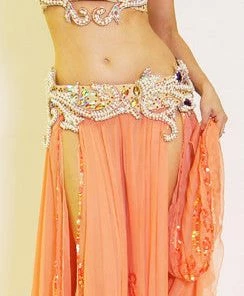 Bellydance BDS Classic Bra And Belt Set Bra&Belts