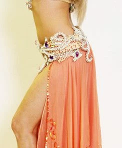 Bellydance BDS Classic Bra And Belt Set Bra&Belts