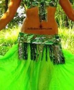 Bellydance Bra&Belts Lili 23937