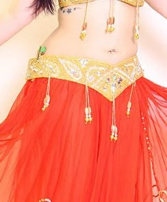 Bellydance Spice Bra And Belt Collection (DDD) 23424 Bra&Belts