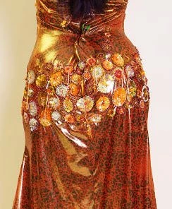Bellydance Plus Size, Dress