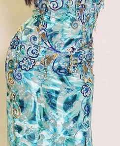 Bellydance Plus Size, Dress