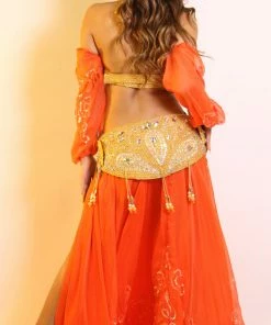 Bellydance Spice Bra/Belt Collection (DD) 23905