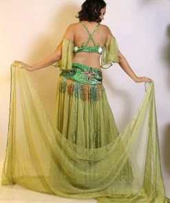 Bellydance Bra&Belts Lili 23977