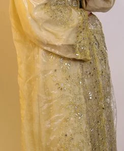 Bellydance Covers Cover 24004