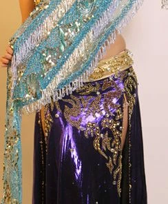 Bellydance Hip Scarf 23952 Hip Scarves