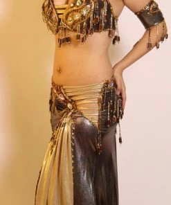 Bellydance Nabila Costume 24031