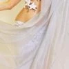 Bellydance Silver Silk Veil
