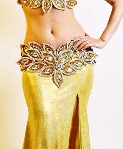 Bellydance Eve Collection Bra And Belt Bra&Belts