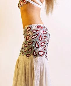 Bellydance Costumes Costume