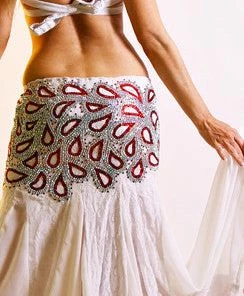 Bellydance Costumes Costume