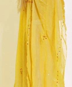 Bellydance Khaligee Dress Cover