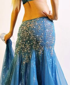 Bellydance Costume