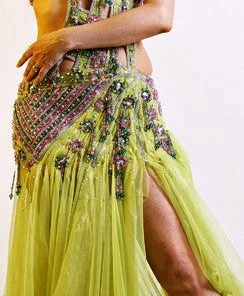 Bellydance BDS Couture Costume