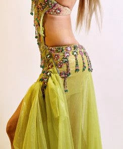 Bellydance BDS Couture Costume