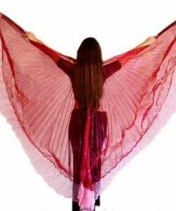Bellydance Glitter Wings
