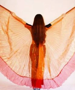 Bellydance Glitter Wings