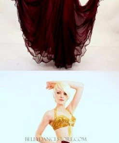 Bellydance Burgundy Skirt All Skirts