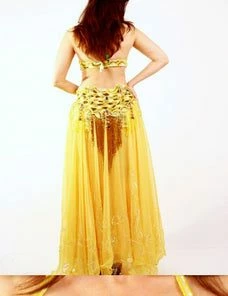 Bellydance Bra&Belts Lili Collection (C/D)