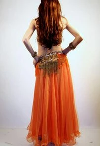 Bellydance Taj Mahal