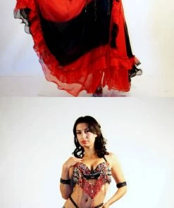 Bellydance All Skirts Red / Black Skirt