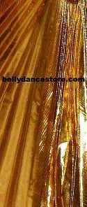 Bellydance Metallic Wings