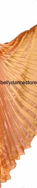 Bellydance Solid Wings 3 Bellydance Solid Wings