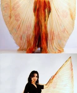 Bellydance Iridescent Wings