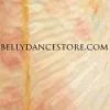 Bellydance Iridescent Wings