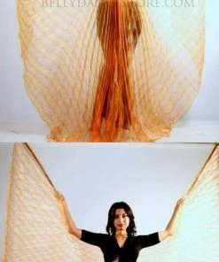 Bellydance Iridescent Wings