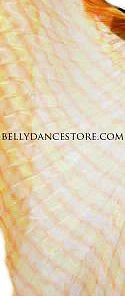 Bellydance Iridescent Wings