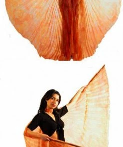Bellydance Iridescent Wings