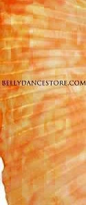 Bellydance Iridescent Wings