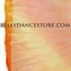 Bellydance Iridescent Wings