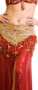 Mumtaz Two Piece Costume