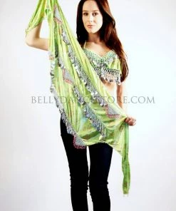 Bellydance Hip Scarves