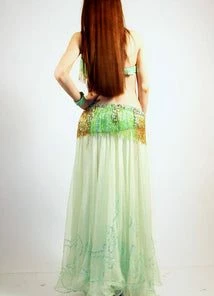 Bellydance Taj Mahal