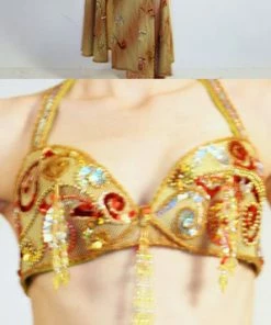 Bellydance Desert Swirl Costumes