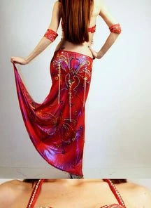 Bellydance Diamond Costume Costumes