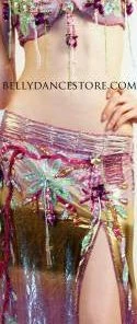 Bellydance Egyptian Bloom Costume Costumes