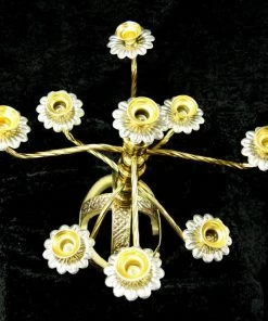 Bellydance Shamadans Shamadan