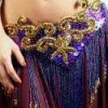 Bellydance Purple Skirt All Skirts