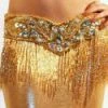 Bellydance All Skirts Gold Lycra XSmall Skirt