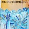 Bellydance Costumes Nile Waves