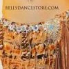 Bellydance Floral Dream Costume Clearance Costumes