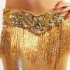 Bellydance All Skirts Lycra Skirt (small)